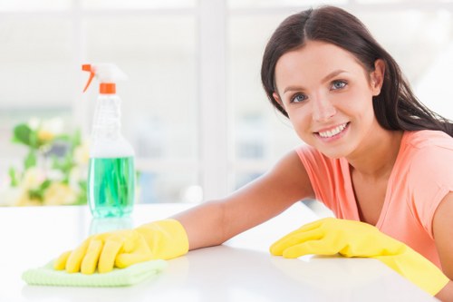 Illustration representing accessible Cleaners E1 website support