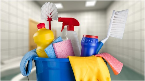 Professional carpet cleaning in an E1 home with a fresh living room carpet