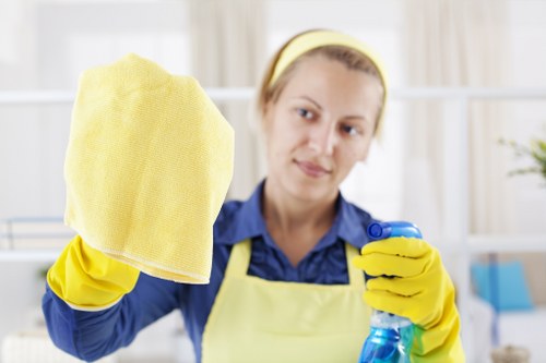 Cleaners E1 service team introduction and local property care