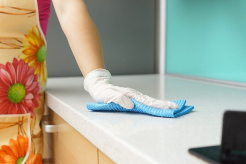 Illustration of screen-reader friendly content for E1 cleaning services