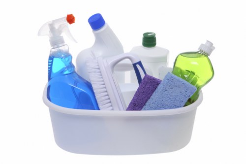 Cleaning service terms and conditions introduction