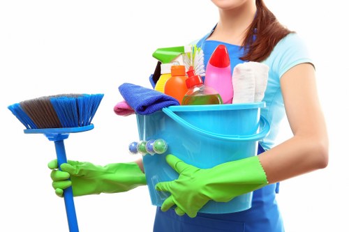 User control over Cleaners E1 cookie settings