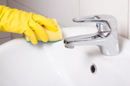 Final stage of a cleaner complaints process