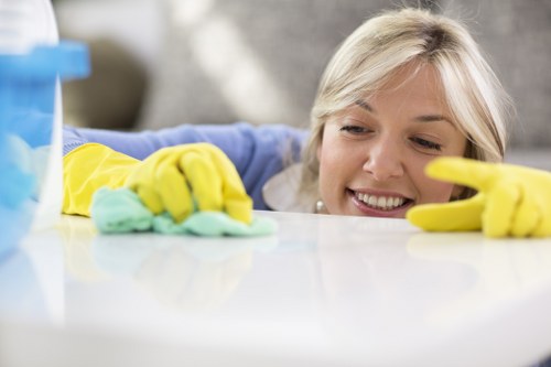 Oven cleaning for flats and rented properties in E1