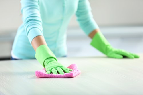 Preparing an E1 home for a deep clean or move-out