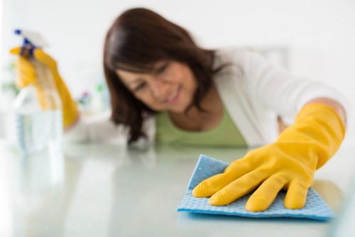 Illustration of inclusive web access for cleaners in the E1 area