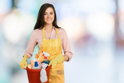 Local sofa upholstery cleaning for residential and commercial properties in E1