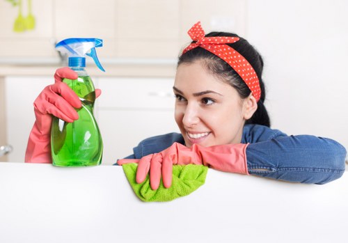 Mattress cleaning service for a flat in Whitechapel area