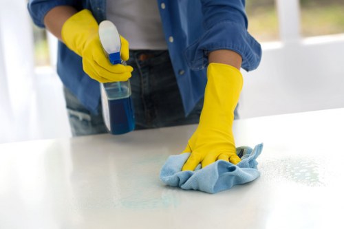 Careful stain removal from a wool rug in E1