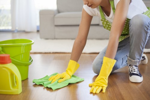 Routine cleaning service for homes and businesses in E1